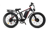 DUOTTS S26 Pro Electric Bike