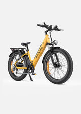 ENGWE E26 Electric Mountain Bike