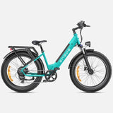 ENGWE E26 Electric Mountain Bike