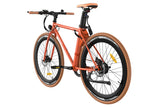 Fafrees F1 Electric Bike