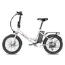 Fafrees F20 Light Electric Bike