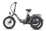 Fafrees F20 Mate Electric Tricycle