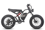 Fafrees F20 Ultra Electric Bike