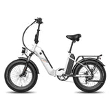 Fafrees FF20 Polar Electric Bike