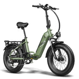 Fafrees FF20 Polar Electric Bike