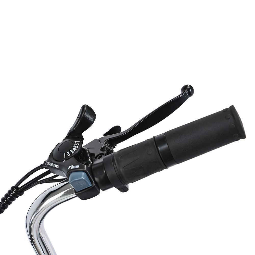 Gogobest GF100 Electric Tricycle Cargo E-bike