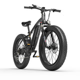 GOGOBEST GF600 Electric Bike