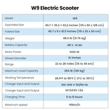 iScooter W9 1000W Off-Road E-scooter 45km/h