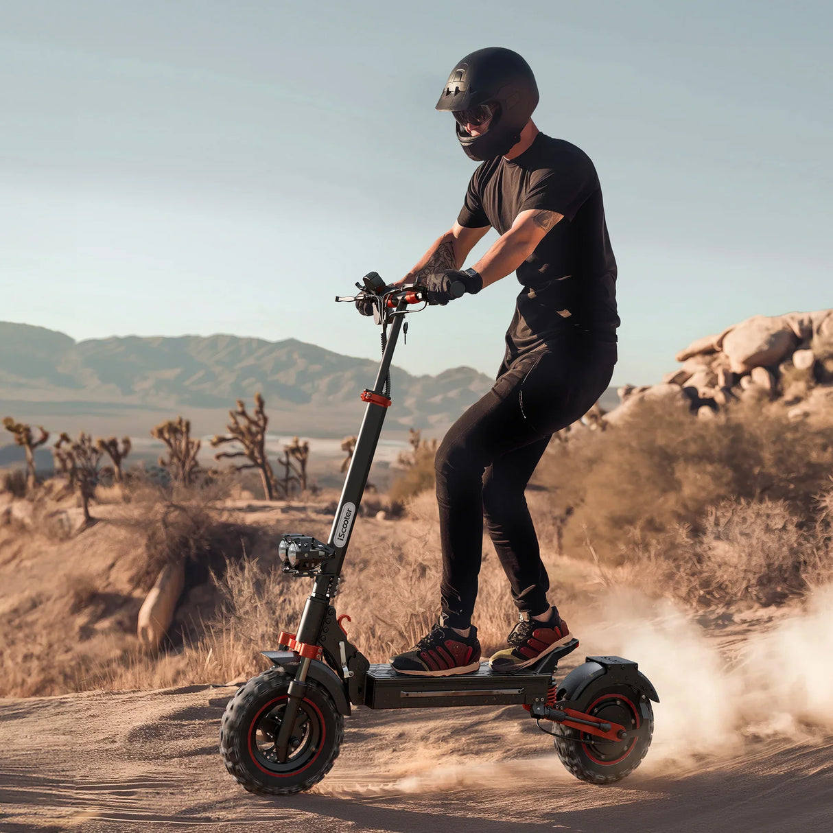 iScooter iX5S 1000W Off-Road Electric Scooter