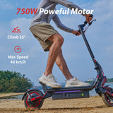 iScooter w8 750W Electric Scooter