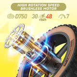 JANSNO X70 Off Road Electric Bike