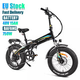 Kaisda K2-P-Pro 750W Electric Bike