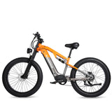 RANDRIDE YX80 Electric Bike