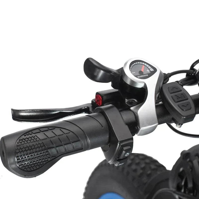 Philodo H8 Dual Motor Cargo Electric bike