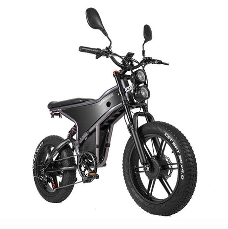 RANDRIDE DM711 Dual Motor Electric Bike.