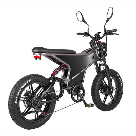 RANDRIDE DM711 Dual Motor Electric Bike.