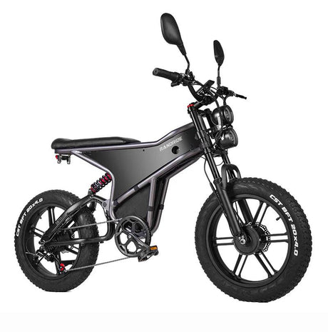 RANDRIDE DM711 Dual Motor Electric Bike.