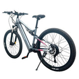 RANDRIDE YG90A Electric Bike