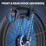 Ridstar E26 PRO Electric bike