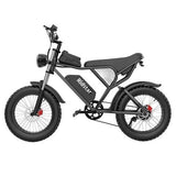 Ridstar Q20 Electric Bike