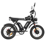 Ridstar Q20 Pro Electric Bike