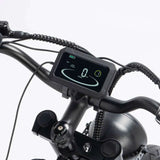 Ridstar Q20 Pro Electric Bike