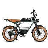 SAMEBIKE M20-II Electric Bike