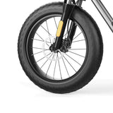 Coswheel T20 All Terrain Electric Bike