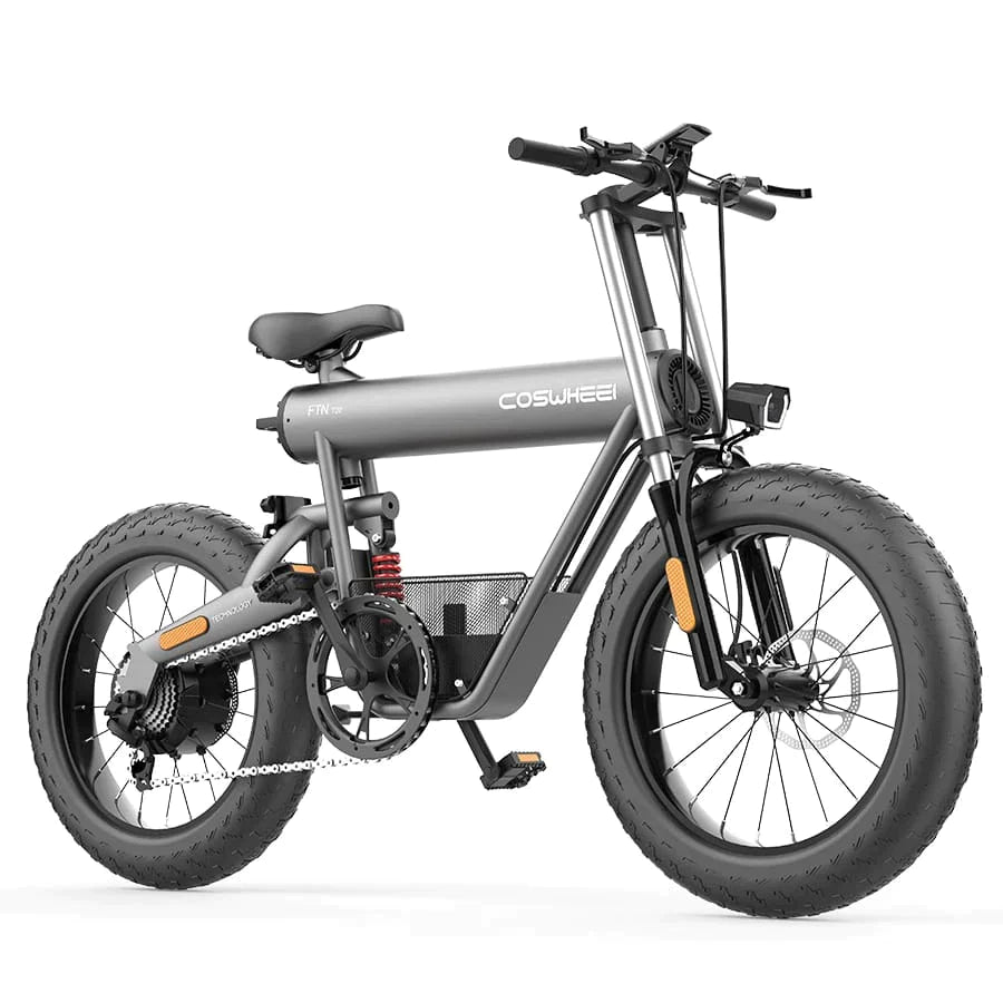 Coswheel T20 All Terrain Electric Bike