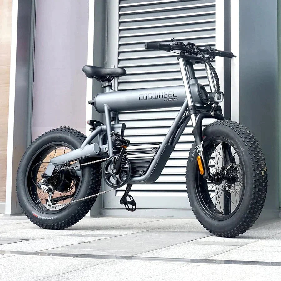 Coswheel T20 All Terrain Electric Bike