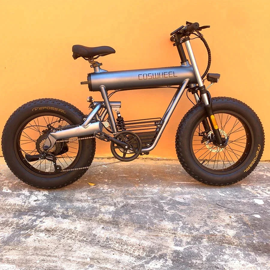 Coswheel T20 All Terrain Electric Bike