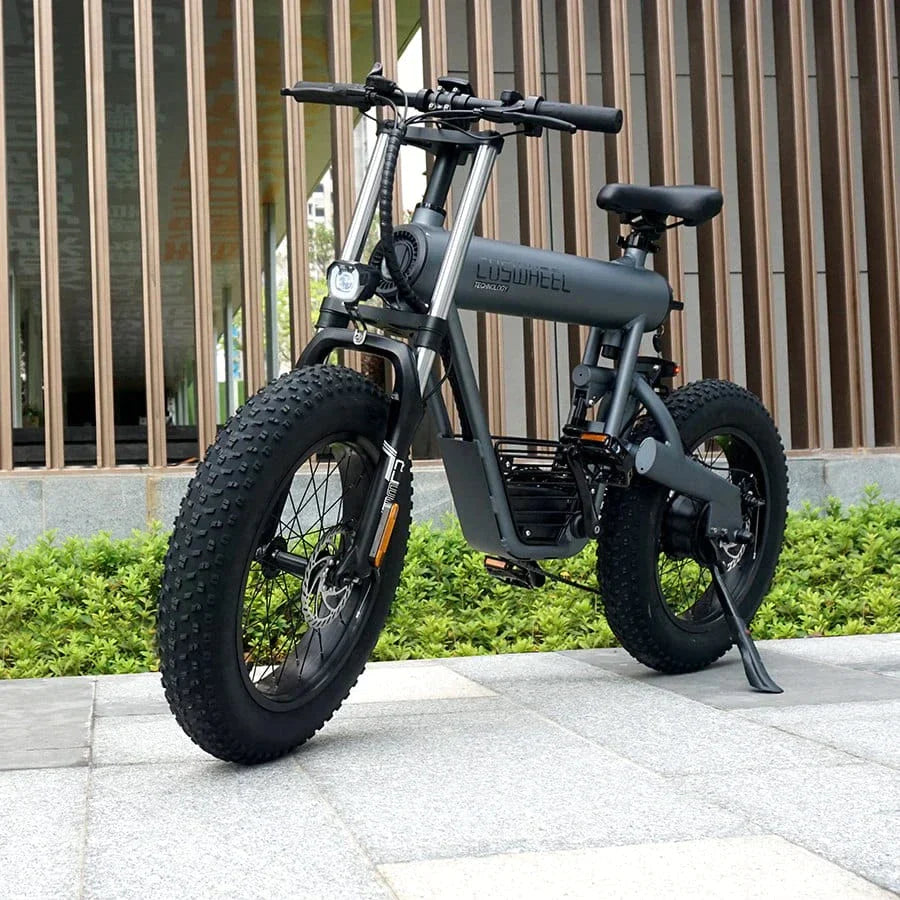 Coswheel T20 All Terrain Electric Bike