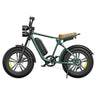 ENGWE M20 Electric Bike