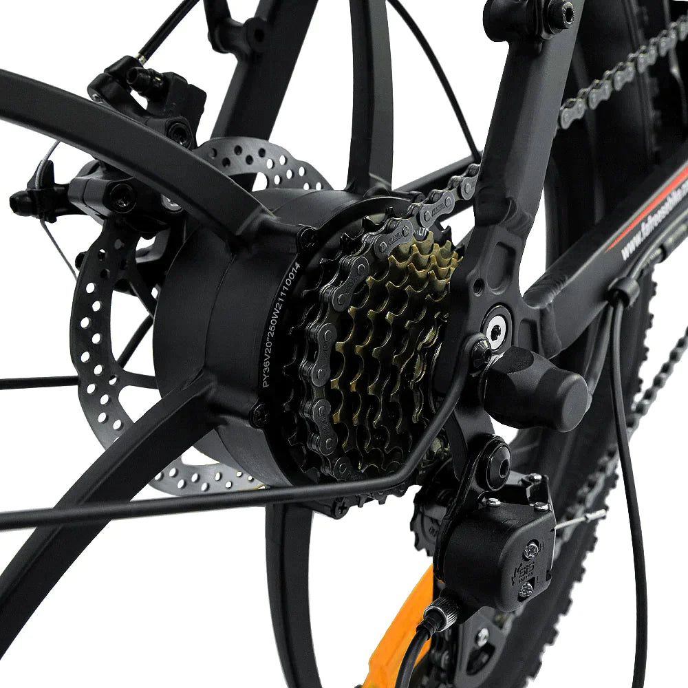FAFREES F20 City Electric Folding Bike