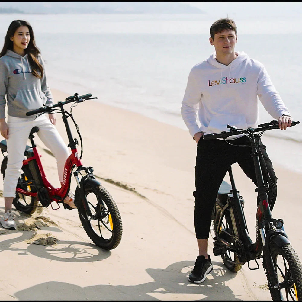 FAFREES F20 City Electric Folding Bike