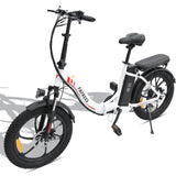 FAFREES F20 City Electric Folding Bike