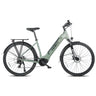 FAFREES FM9 with Mid Drive Motor