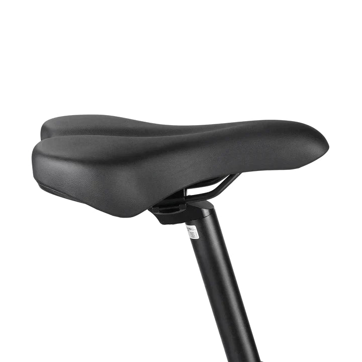 FAFREES FM9 with Mid Drive Motor