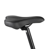 FAFREES FM9 with Mid Drive Motor