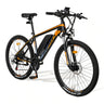 FAFREES Hailong One Mountain Electric Bike