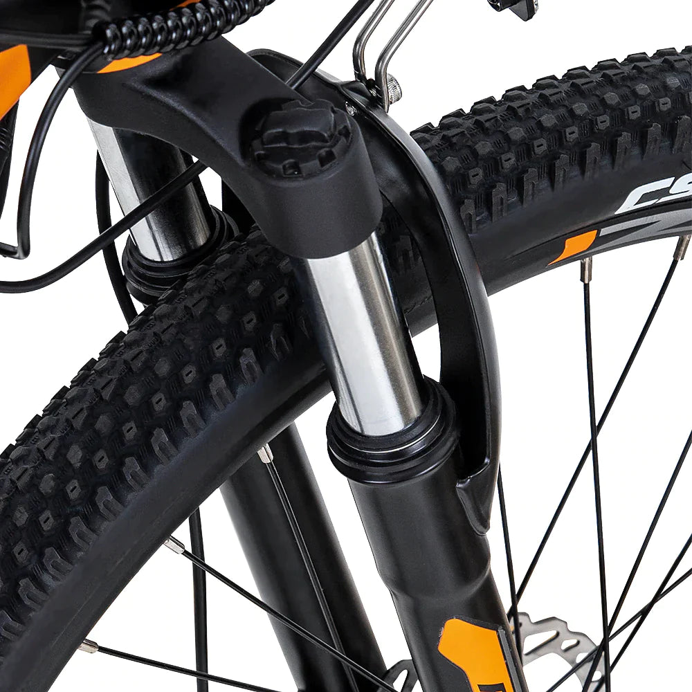 FAFREES Hailong One Mountain Electric Bike