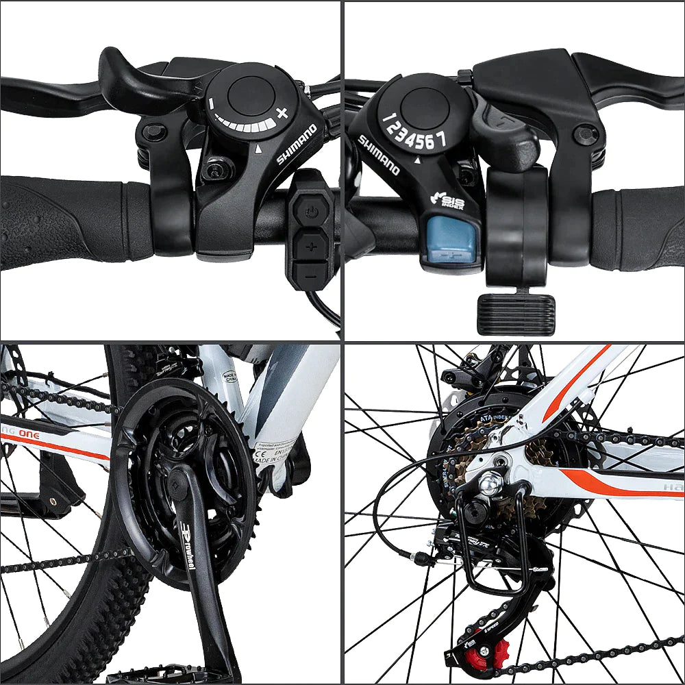 FAFREES Hailong One Mountain Electric Bike