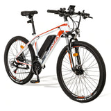 FAFREES Hailong One Mountain Electric Bike