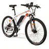 FAFREES Hailong One Mountain Electric Bike