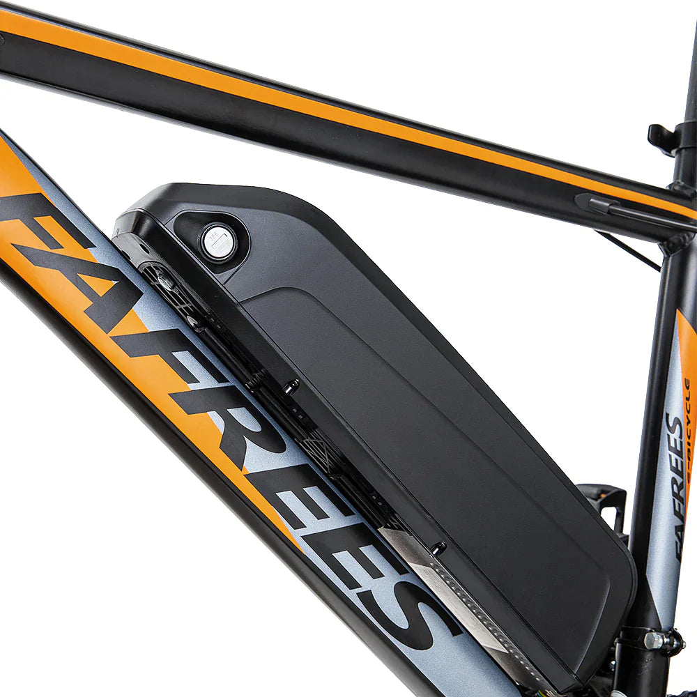 FAFREES Hailong One Mountain Electric Bike
