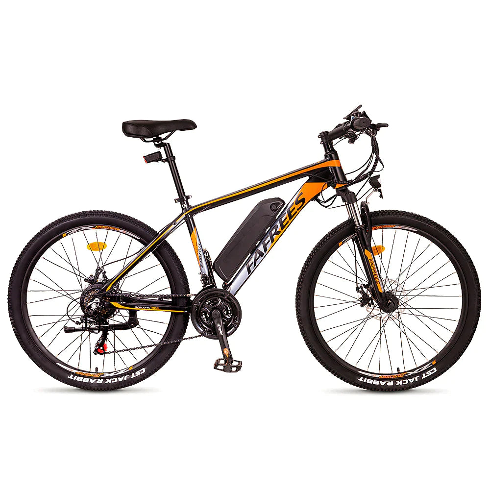 FAFREES Hailong One Mountain Electric Bike
