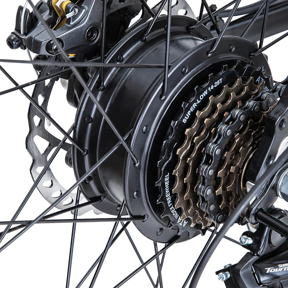 FAFREES Hailong One Mountain Electric Bike