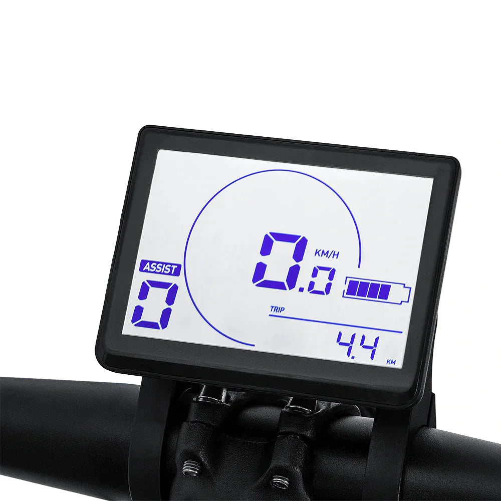 FAFREES Hailong One Mountain Electric Bike