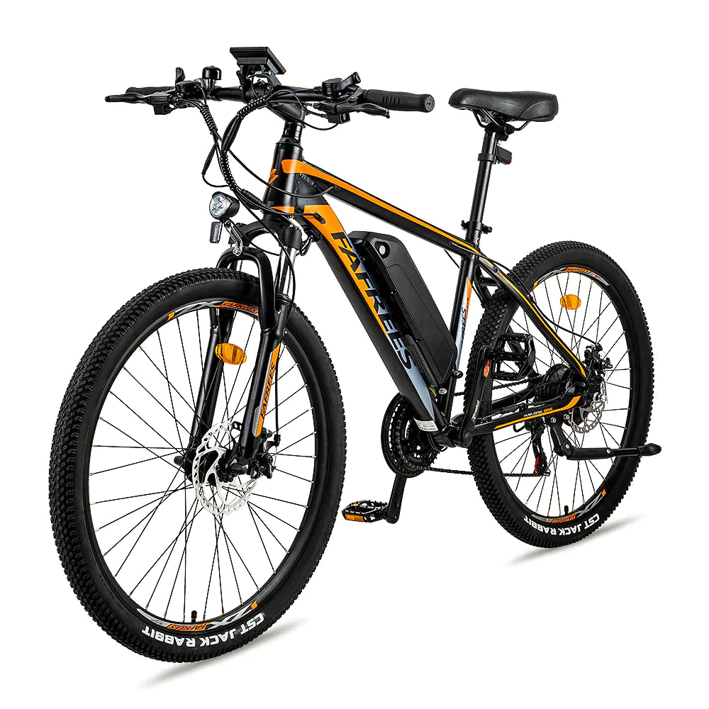 FAFREES Hailong One Mountain Electric Bike
