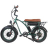 GOGOBEST GF750 Electric City Retro Bike